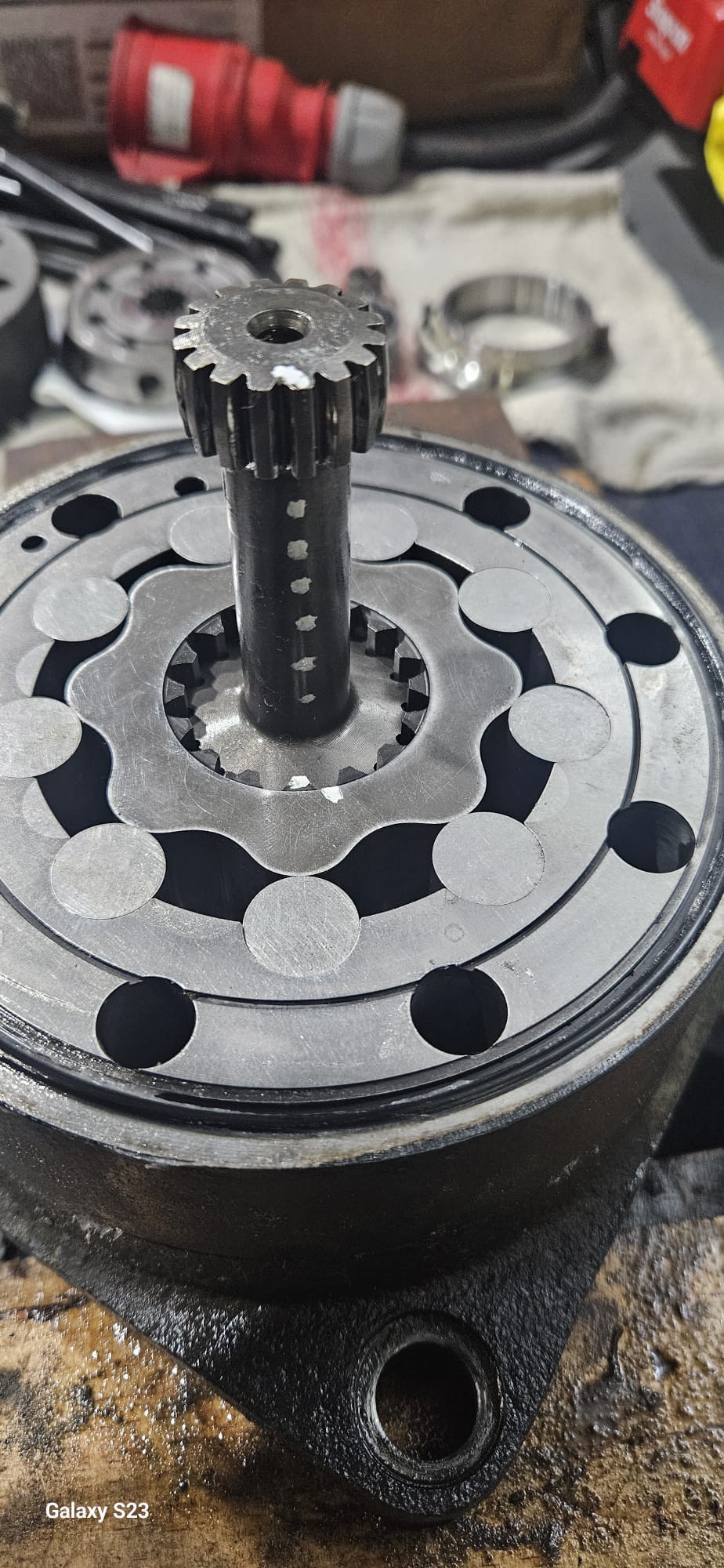 Zdjęcie WhatsApp 2025-04-05 o 09.44.13_70134b44