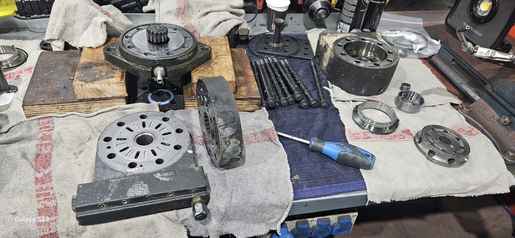 Zdjęcie WhatsApp 2025-04-05 o 09.44.13_80832233