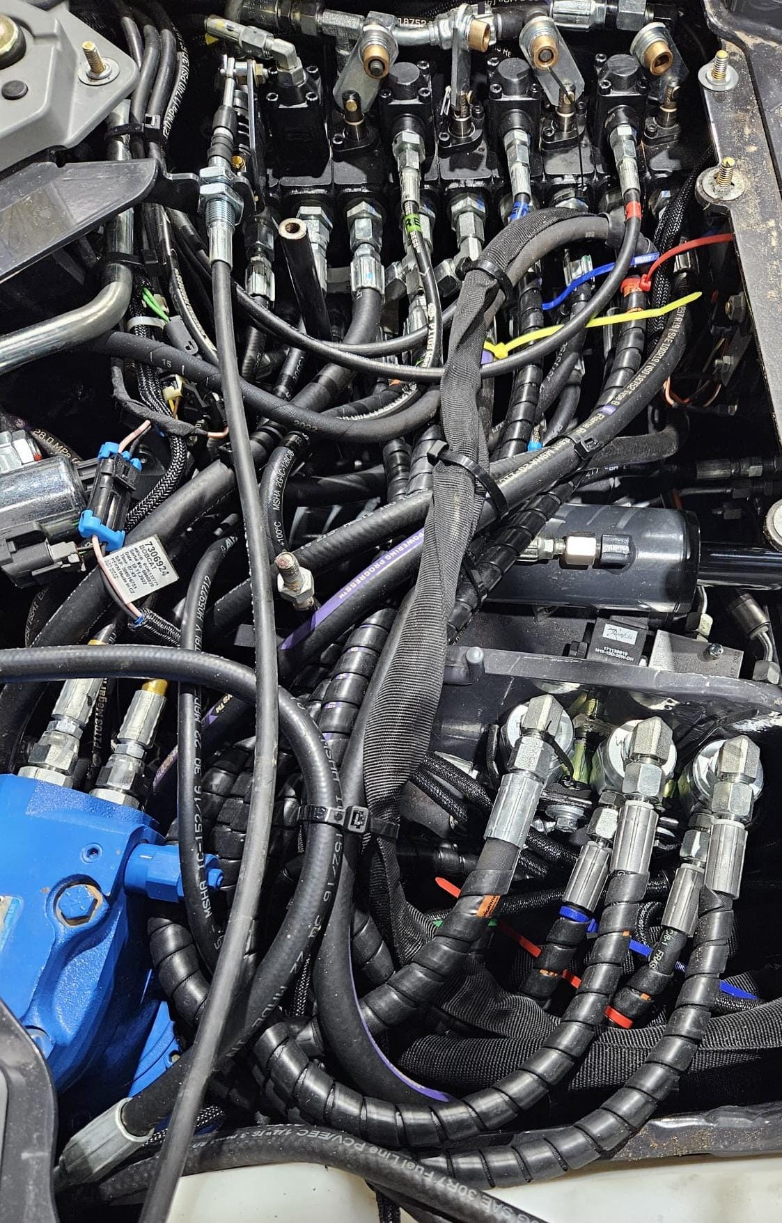 Zdjęcie WhatsApp 2025-04-05 o 16.34.53_ae95eaa5